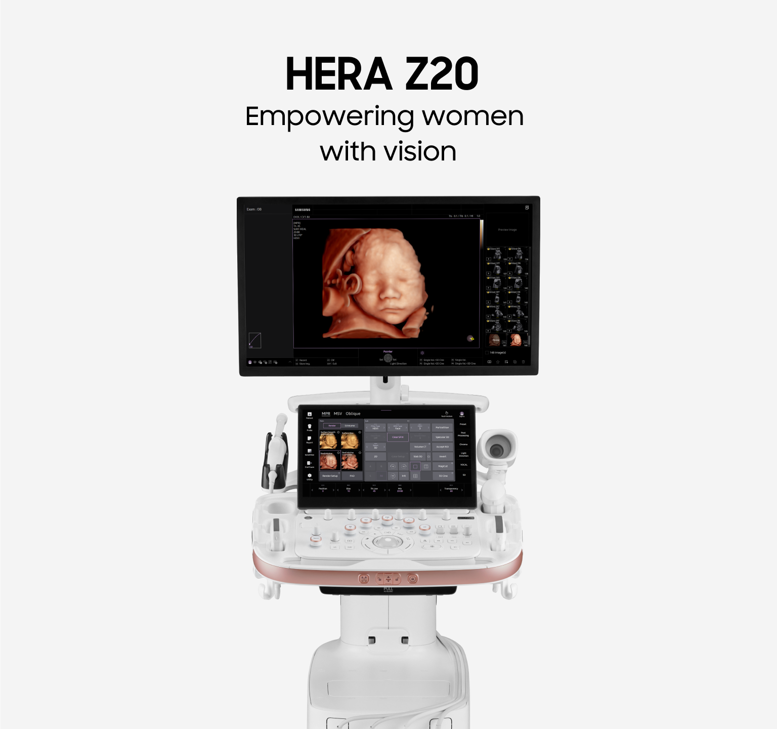 HERA_Z20