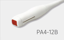 Pa4-12B