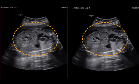 imaging solutions : ClearVision